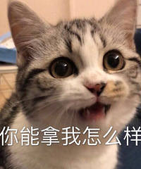 ׳ɹллСܼң潻Ůϰ