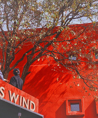 ֲѾõ꣬ȷʵ˳ȥɽֲ԰