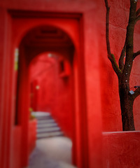 ֲѾõ꣬ȷʵ˳ȥɽֲ԰