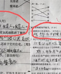 “奶奶家一只狗养了我”……小学生们赶工的神级寒假作业,笑翻了