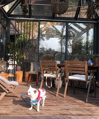 ȥɽ̤ͻҸԴĵطȲ̫