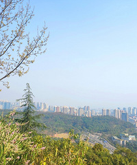 ˰ûҵĸɽ÷֣ĺʺ̤