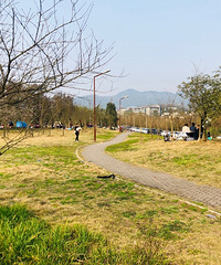 ɡժݮ¶ӪʳҪôųʵֺˣ