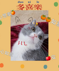 ��Ԫƽ����ˮ�������ر��ʺϴ���