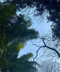 طҲ̫ʺ̤˰ɣ羰һժҰ