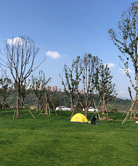 ϲֻͲ˻Ƭԭ͹۽̨Ҫ̫ʺ̤