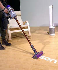 �����ɭ����������ʵ���𣿺������鲻�鷳ѽ