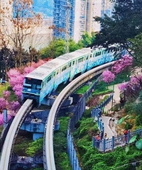 开年钜惠,大咖坐诊,4999就可以拥有一口整齐的牙齿