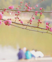 ÷԰÷ŭˣʱȥֱԲЩ