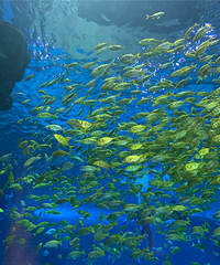 ޴򿨺磬бʩĥһ첻