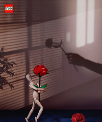 С���鱬����ָ߻������������ֲ���