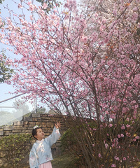 ɽƺĻˣ޶ȥĻƬֵһȥ