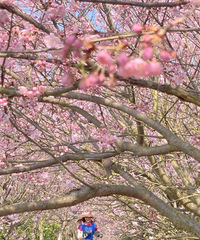 촺ͻͼǻʢ硾2021ͻǡ