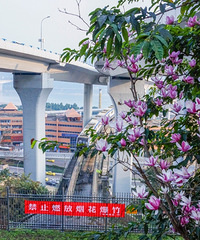 ˭˵ֻзͼźÿһпгĸо