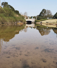 Ȫ͸߶ﻹдƺӣܱˣ̫˰