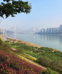 Ƿ˸ٵĺӱߣˣɳҰͳݣܵ