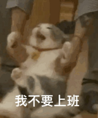【224值得买】德亚全脂牛奶30盒69,韩国爱敬洗发水19