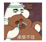 “摇号”新政下,公办成热门?揭秘重庆优质小学+初中王炸组合
