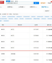 拼多多关联公司申请拼刀刀商标,这届网友的评论亮了