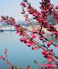 ǻôĵطɽˮлʳؼٺͣ