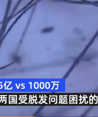 ��֪ʶ���й����ѷ�����൱��10���׶��У��������е�һԱ��