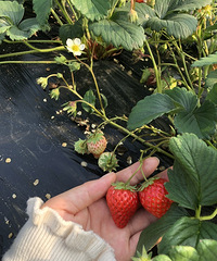 Ů̫ϲժݮˣȥ4ң˵˵