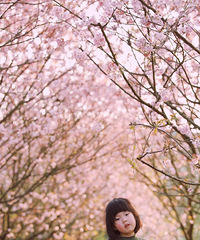 ̳򿨿ͻժӵĺõطôĶƬ