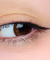 ��������70����½�ë