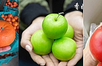 ѡָ̡濪ˣһ̲Ǯɫζ