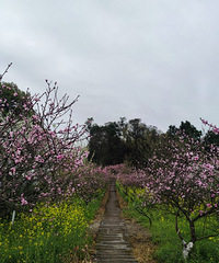 ԼܳаһƬĸоˬƬıص