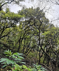 ȥɽ볬ĶٹϽ֣·߱޸