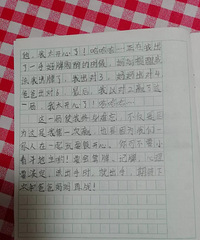 娃儿写的日记《我的寒假生活》,记录斗地主......