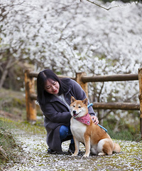 ϹȥӡпѩɽҪ̫ȷʵ׳Ƭ