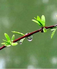 87��158CM��ɥżС������飬����ҽ�������Ĺ���