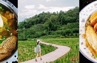 ��ˢ��ұ���ũ���֣���������Ʒ�ʺã����ջ���Ƭ