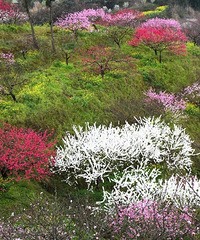 1Сʱ͵һ̫ˣжԪĸо