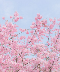 �����������������ڶ�վ