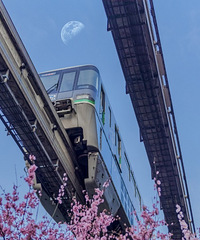 Ķߴ򿪣ôĳû˵գÿ