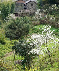 ֻ֪ӡУ⻹һƬѵ