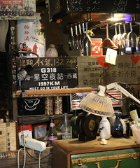 ժ��ݮ��С���ǿ�ҹ���������ʵ�����ë��