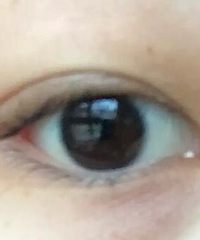 单簇假睫毛太值得买啦!