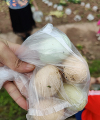 ���ﲻ���ܳԵ����ʵĻ����������ץ���Ҽ���ˣ