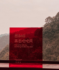 我的独居生活:非独自一人,也并非是三杯两盏淡酒