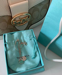 ����Tiffany����С�������������ɫ�ر��ʺϴ���
