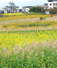 ҪƱƬĲɫͲ˻˭ܾܾأҪ̫Ƭ