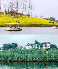 我重磅推荐巴南这个游湖踏青的地方