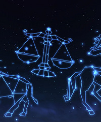 2021���������ˣ������������