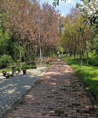 ���������ӳ�ȥ���ۣ����Ǽ��ʡ��ƺƵ���һ��ȥ���ƺ�