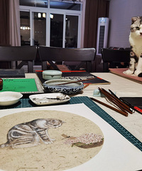 我的独居生活:写字、画画、养猫、种肉