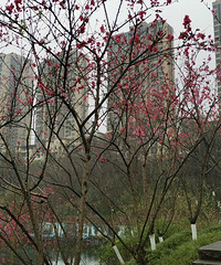 һʢĵطкˮû⣬ƺһ